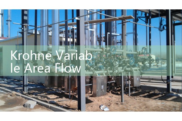 Krohne Variable Area Flow Meter Calibration: H250 Metal Tube Rotameter Setup and Limits